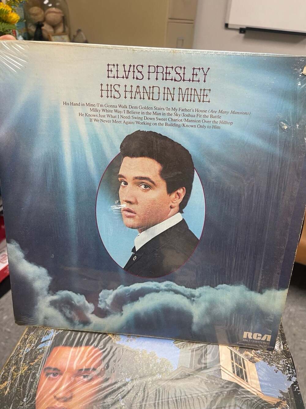 Elvis Presley Vinyl Lot of 13